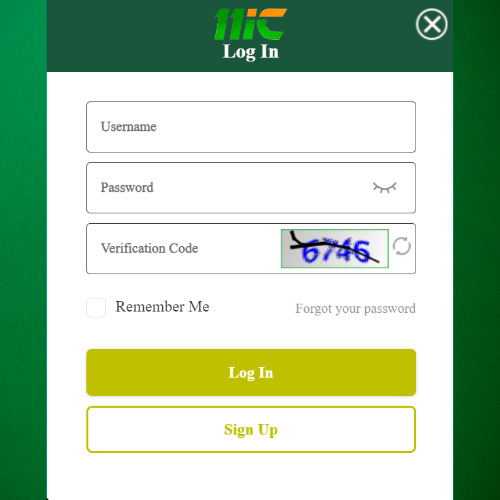 Enter your 11ic login details