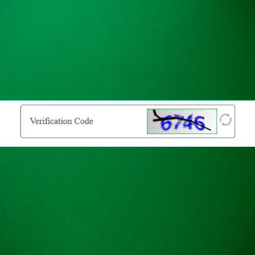 Enter the verification code